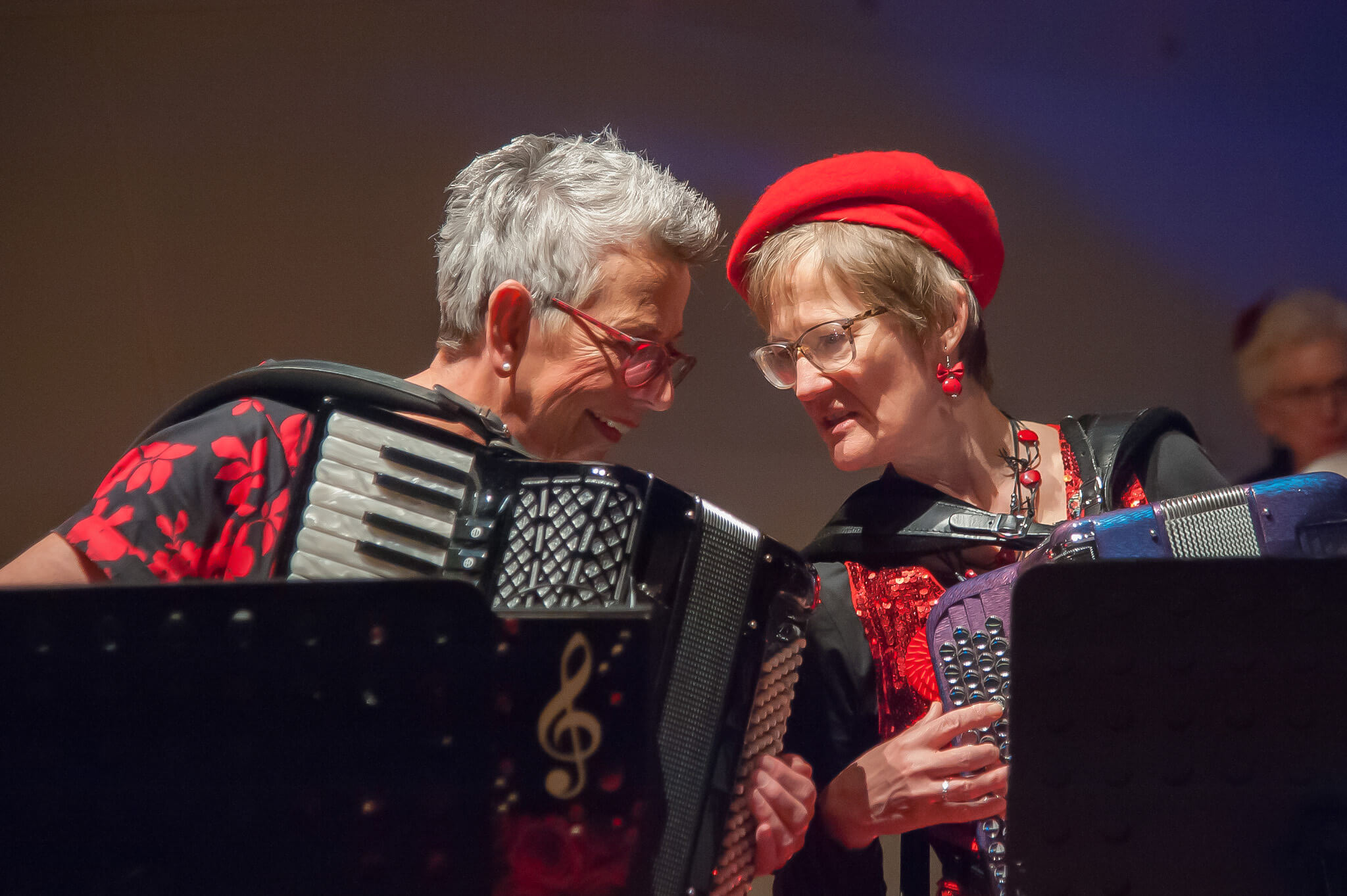 Accordeonisten